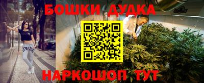 бошки Дубна
