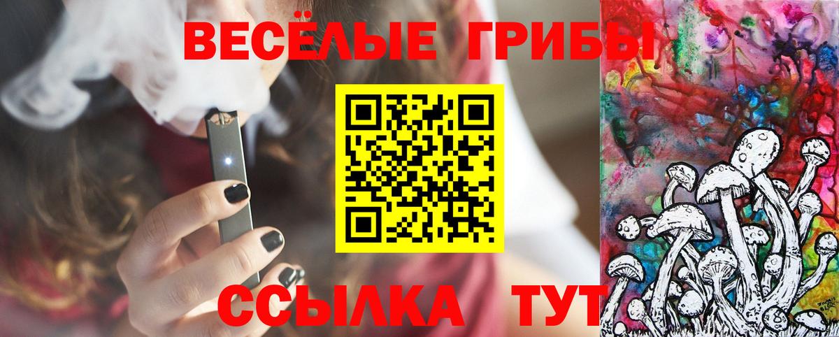 Псилоцибиновые грибы Psilocybe  Галлюциногенные грибы Psilocybe  Вход с VPN  Людиново 